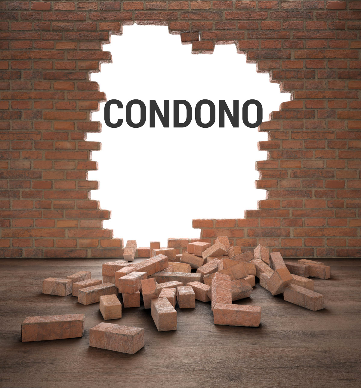regolamento-condono-edilizio